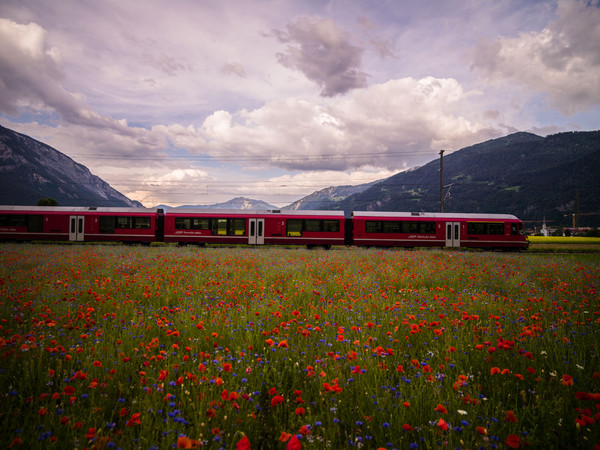 Bonaduz, Graubünden, Schweiz, Switzerland